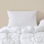 https://s3-ap-southeast-2.amazonaws.com/fusionfactory.commerceconnect.bbnt.production/pim_media/000/170/748/M_F_S24-25_Cat-Stacks_Pillow_Platinum_Duck_Surround_Pillow_SI.jpg?1727161126