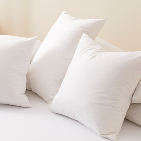 Shop Pillows