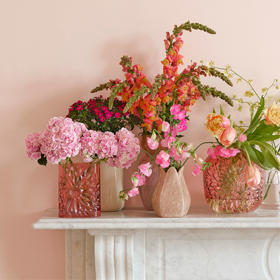 Shop Vases & Pots