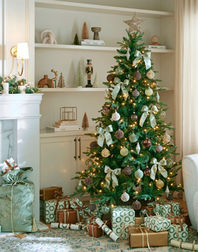 Trees & Decorations
